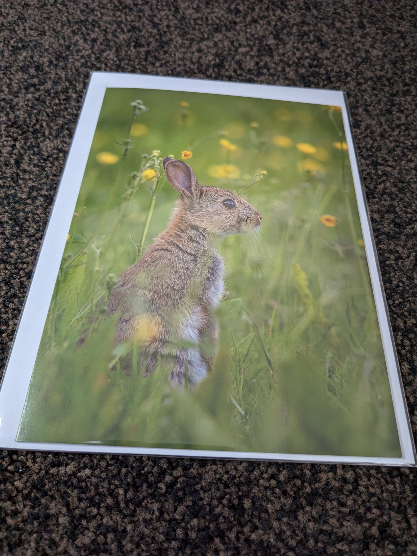 Buttercup whispers/Nature and wildlife Magic – A5 Blank Greeting Card