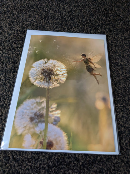 Dandelion wishes/Nature and wildlife Magic – A5 Blank Greeting Card