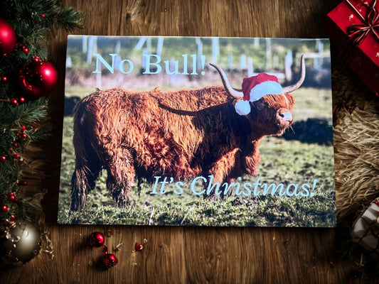 No Bull it's Christmas card.