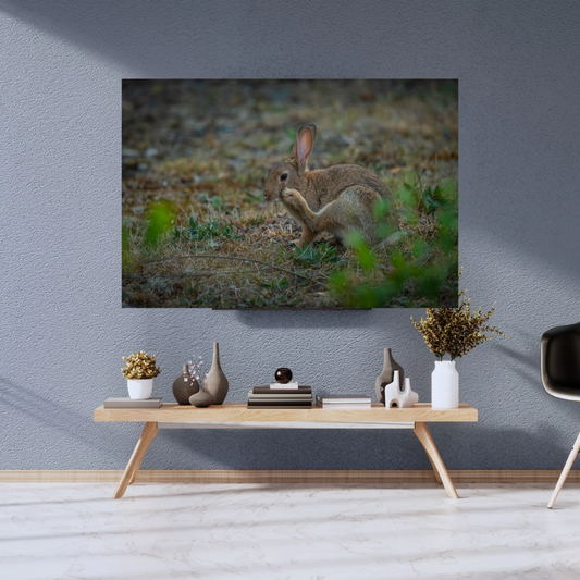 "Whiskers in the Wind" – Adorable Rabbit Woodland Print