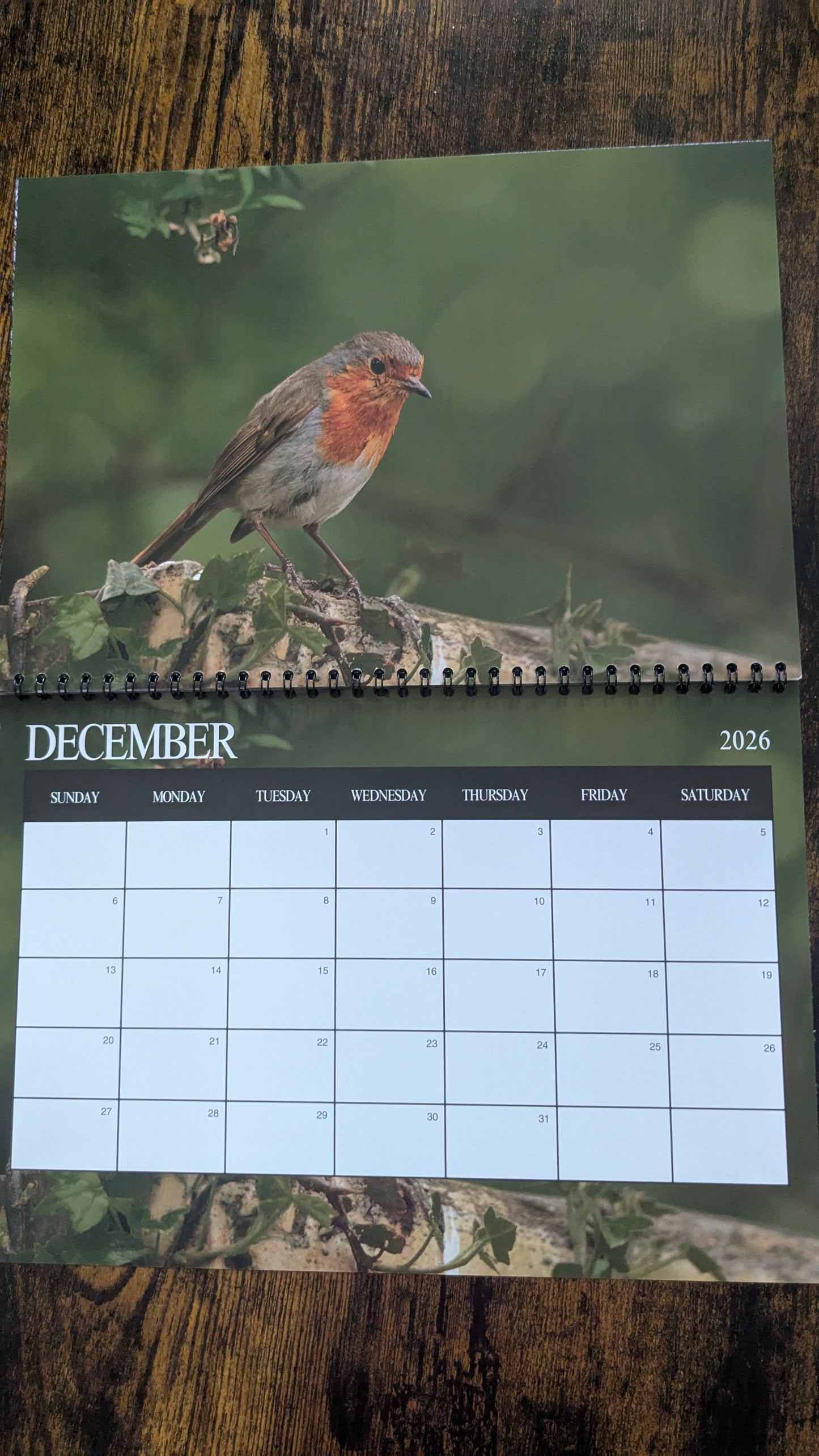 Pre-Order 2026 Nature & Wildlife Calendar (FREE October Shipping)