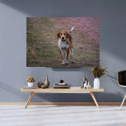 Hound Dog Portrait Print – Rustic Countryside Wall Art | Picture This Print