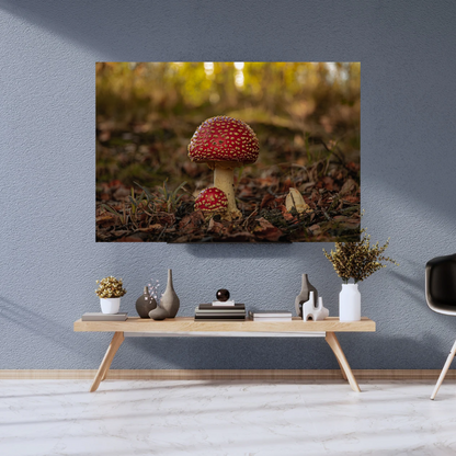 Fly Agaric Mushroom Print – Autumn Woodland Photography, Magical Nature Wall Art