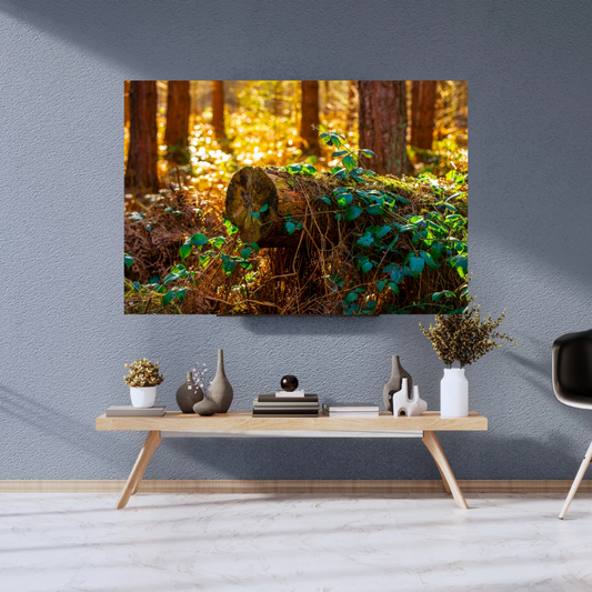 Woodland Print.