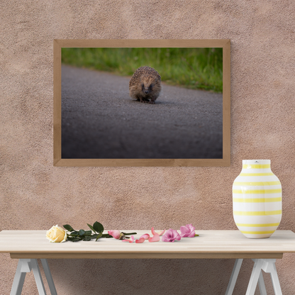 Prickly But Cute Hedgehog Print – Woodland Wall Art for Animal Lovers