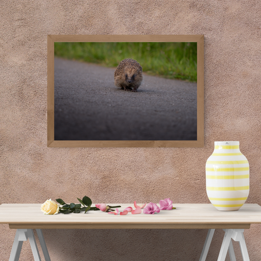 Prickly But Cute Hedgehog Print – Woodland Wall Art for Animal Lovers