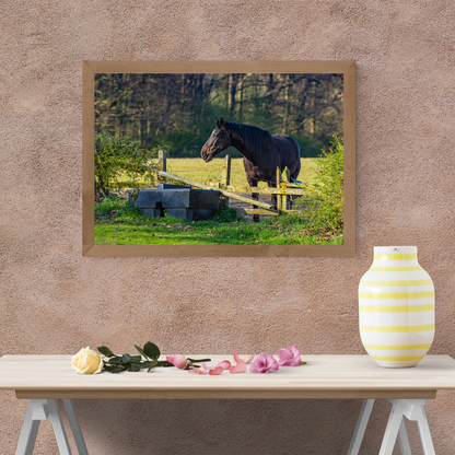 Curious Horse Over the Fence – Equine Wall Art Print