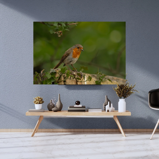 Robin Print – Woodland Wall Art for Animal Lovers