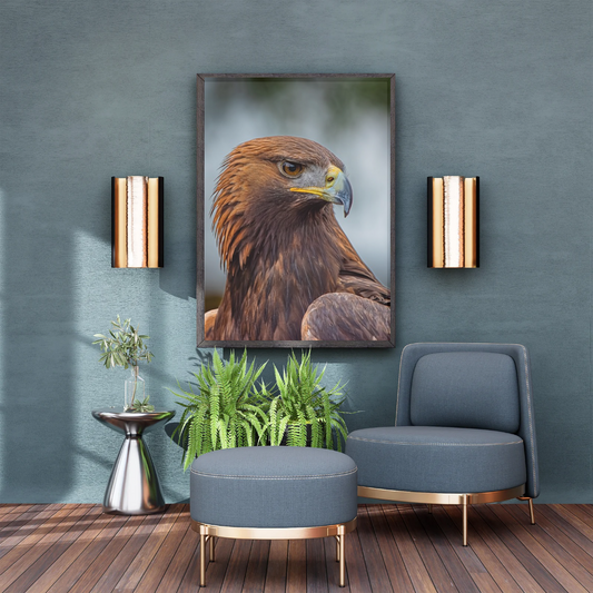 Golden Eagle Portrait Print – Majestic Wildlife Wall Art