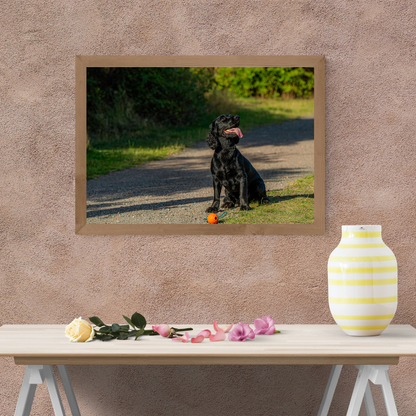 Springer Spaniel Wall Art Print – Dog Photography for Home Décor