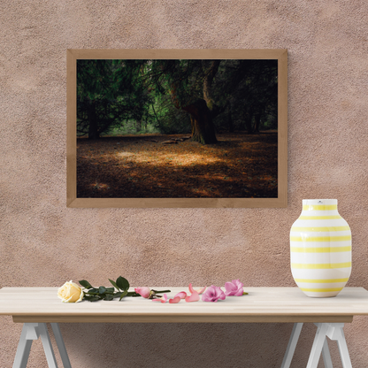 Ancient Woodland Tree Print – Mystical Forest Nature Photography Wall Art