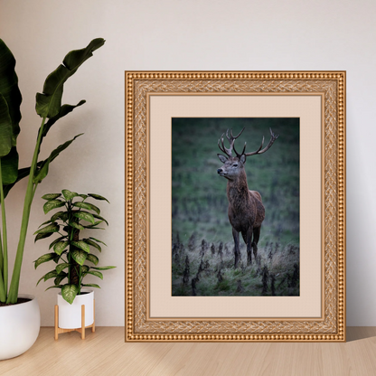 "Majesty in the Mist – Red Stag Fine Art Print"