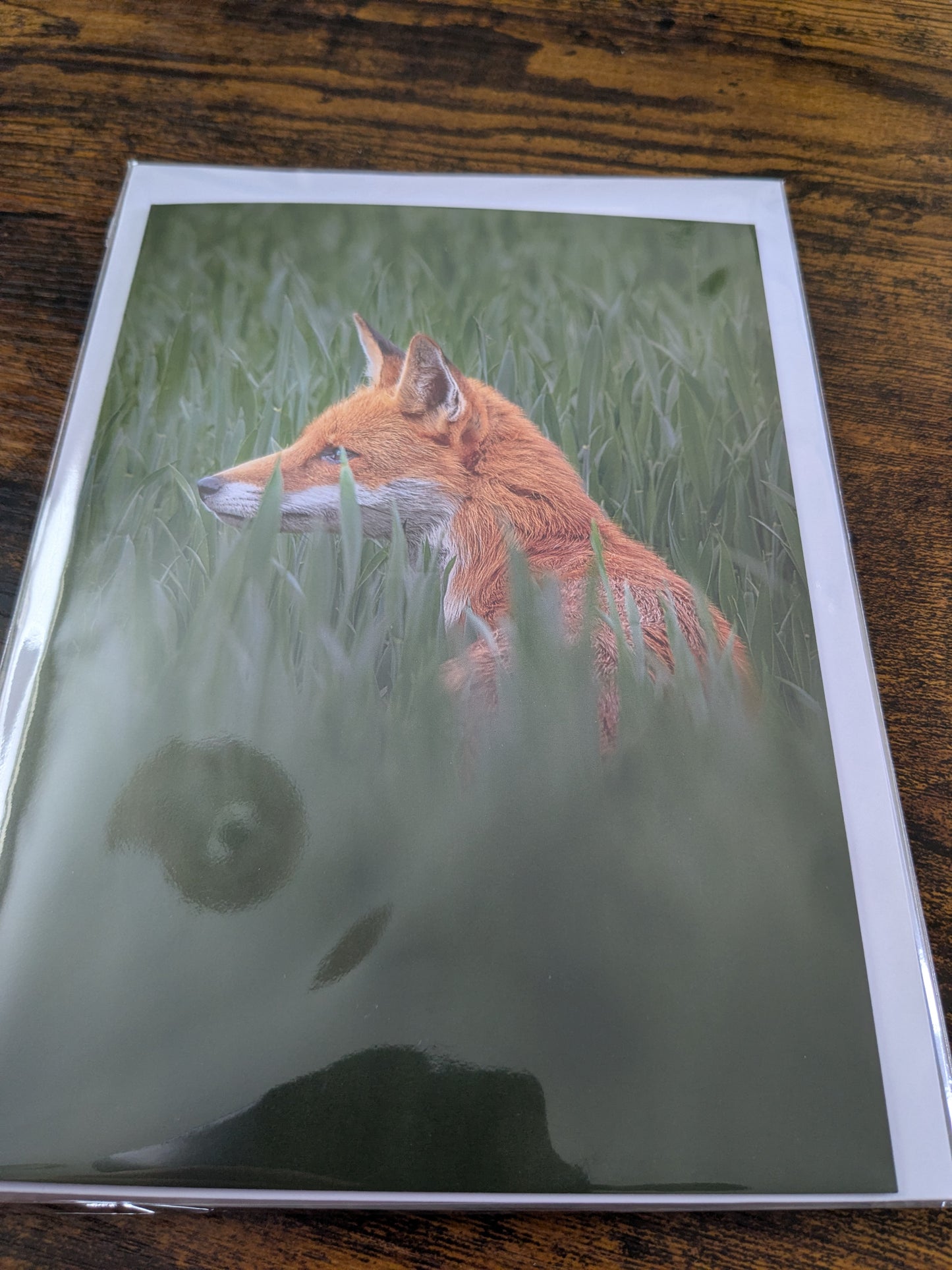 Amongst the meadow grass/Nature and wildlife Magic – A5 Blank Greeting Card