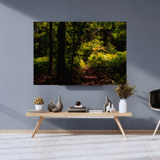 Tranquil Green Woodland Path – Nature Photography for Calm and Mindfulness.