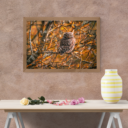 "Striking Little Owl Print – Woodland Wildlife Wall Art"