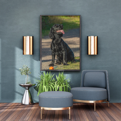 Springer Spaniel Wall Art Print – Dog Photography for Home Décor