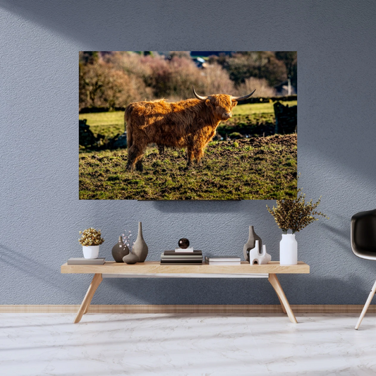 Highland Cow Print.