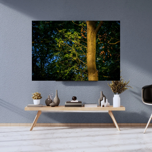 Woodland Print.