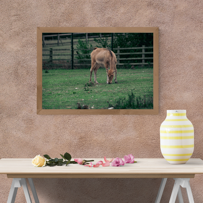 Majestic David’s Deer Wildlife Photography Print.