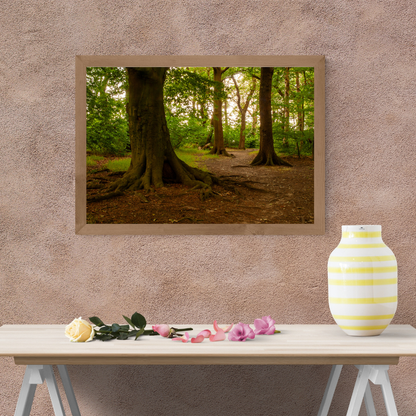 Golden woodland pathway.