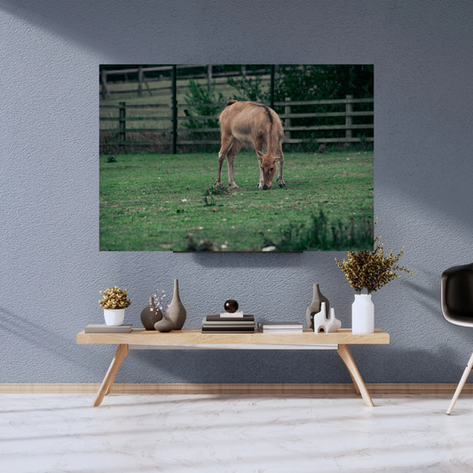 Majestic David’s Deer Wildlife Photography Print.