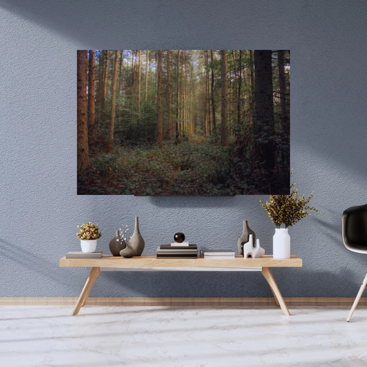 Autumn Woodland Photography Print – Peaceful Forest Nature Wall Art