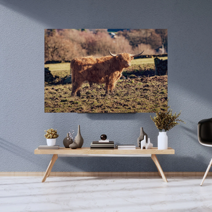 Highland Cow Print.
