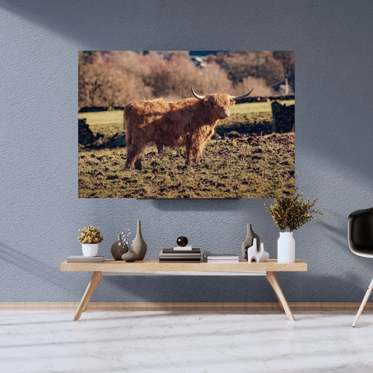 Highland Cow Print.