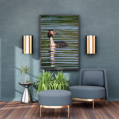 Grace of the Grebe – Tranquil Water Bird Print.