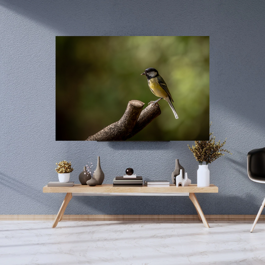 Great Tit – Wildlife Photography Print