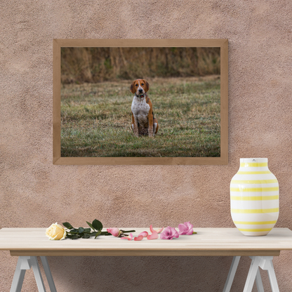 Hound Dog Portrait Print – Rustic Countryside Wall Art | Picture This Print