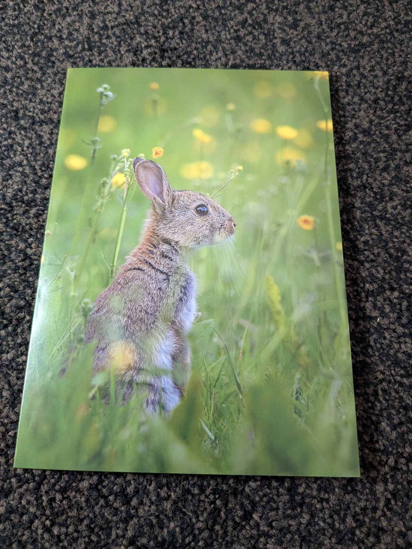Buttercup whispers/Nature and wildlife Magic – A5 Blank Greeting Card