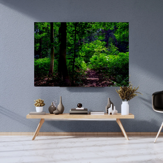 Tranquil Green Woodland Path – Nature Photography for Calm and Mindfulness