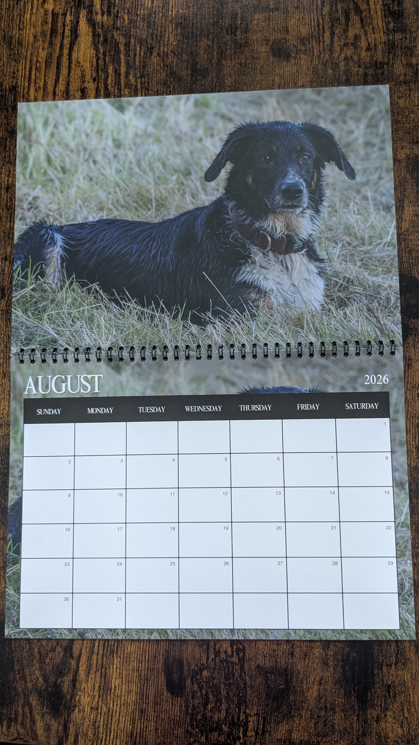 Pre-Order 2026 Nature & Wildlife Calendar (FREE October Shipping)
