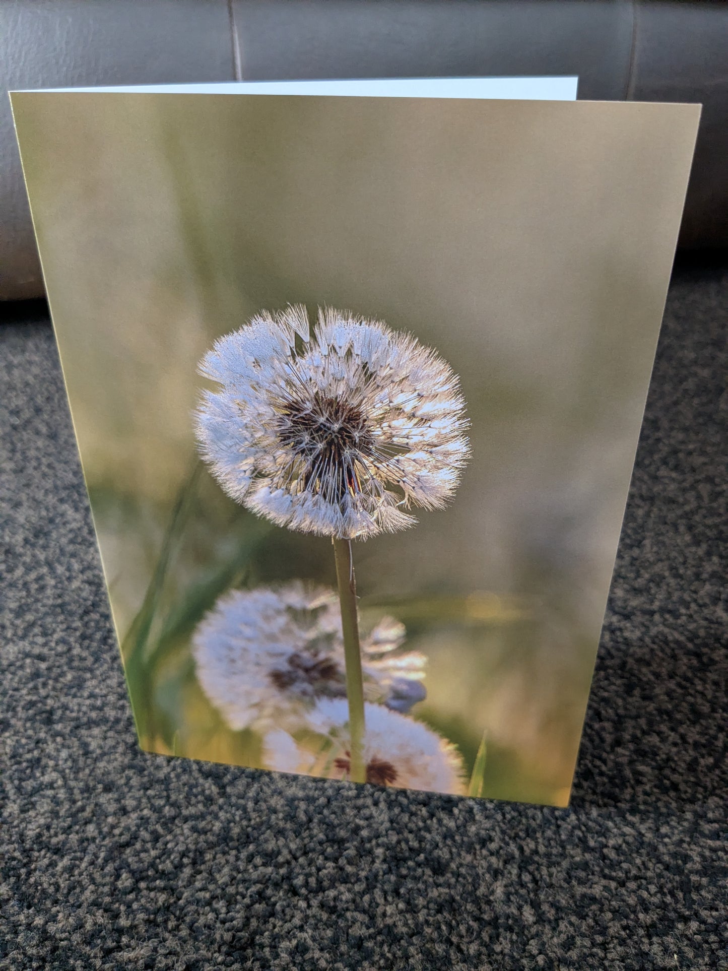 The dandelion clock/Nature and wildlife Magic – A5 Blank Greeting Card