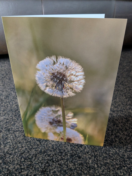 The dandelion clock/Nature and wildlife Magic – A5 Blank Greeting Card