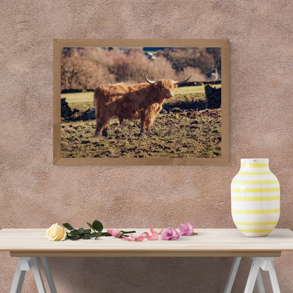 Highland Cow Print.