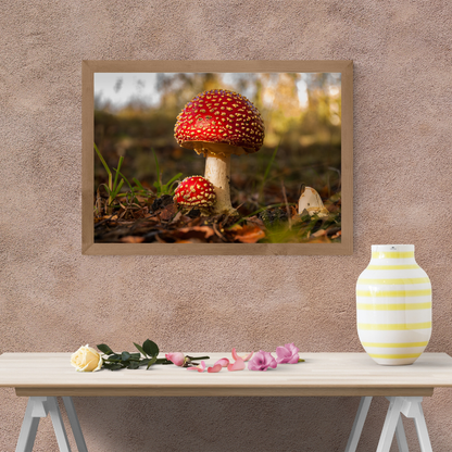 Fly Agaric Mushroom Print – Autumn Woodland Photography, Magical Nature Wall Art