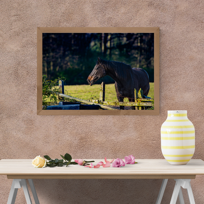 Curious Horse Over the Fence – Equine Wall Art Print
