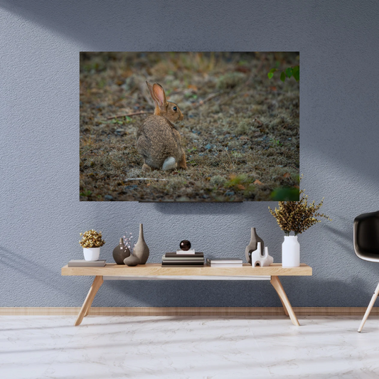 "Whiskers in the Wind" – Adorable Rabbit Woodland Print