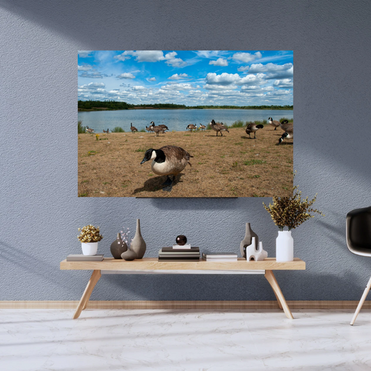 Curious Goose by the Water’s Edge – Nature Print