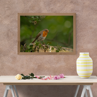 Robin Print – Woodland Wall Art for Animal Lovers