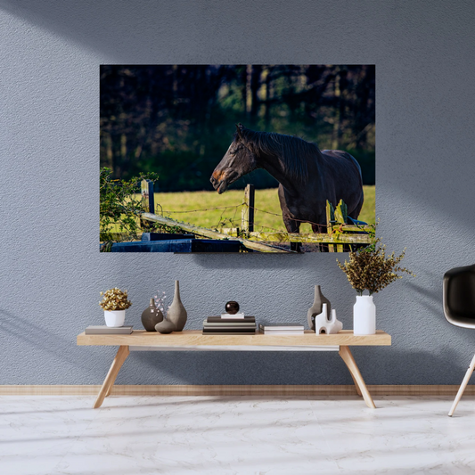 Curious Horse Over the Fence – Equine Wall Art Print