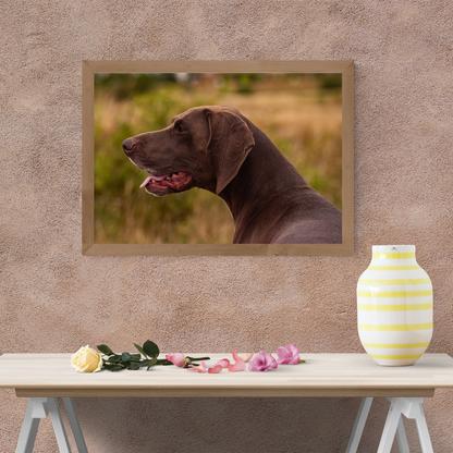 🐾 Pointer Perfection – Fine Art Dog Portrait Print