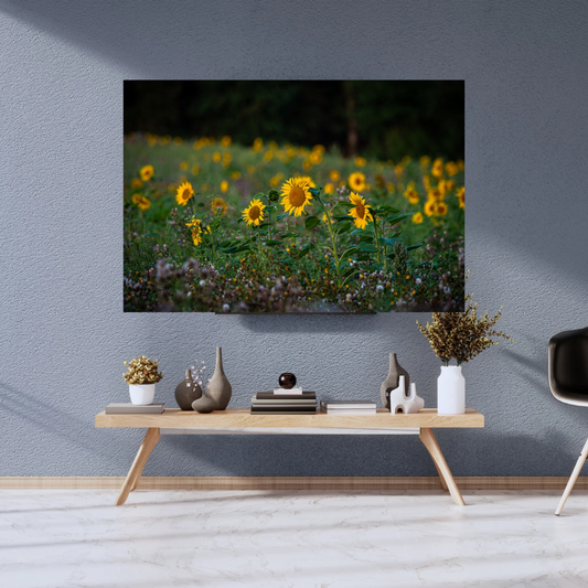 Beautiful Sunflowers – Vibrant Yellow Wall Art Print