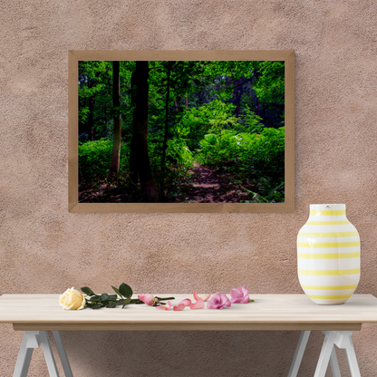 Tranquil Green Woodland Path – Nature Photography for Calm and Mindfulness