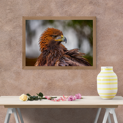 Golden Eagle Portrait Print – Majestic Wildlife Wall Art