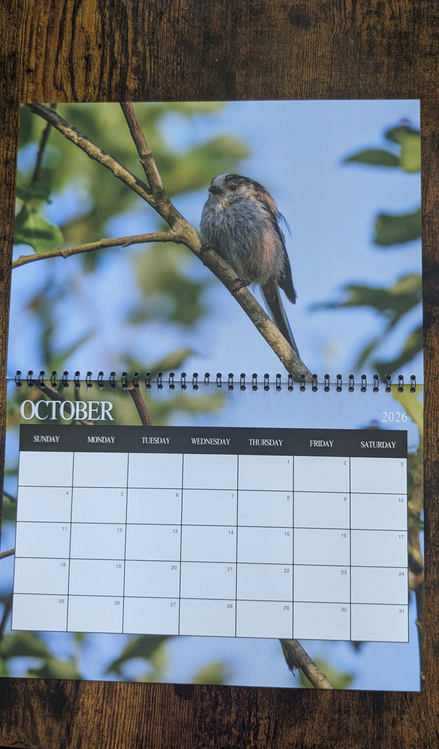 Pre-Order 2026 Nature & Wildlife Calendar (FREE October Shipping)