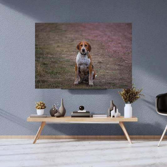 Hound Dog Portrait Print – Rustic Countryside Wall Art | Picture This Print