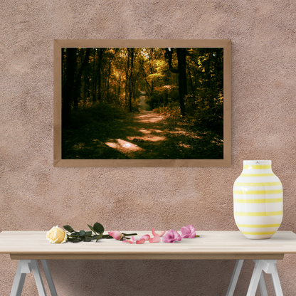 Golden Path Through the Trees – Autumn Woodland Print (landscape)